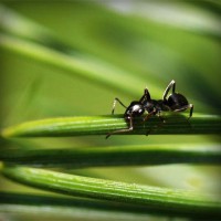 /album/monarchia/photolia-a05-jpg/