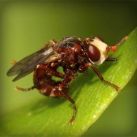 /album/monarchia/photolia-a06-jpg/